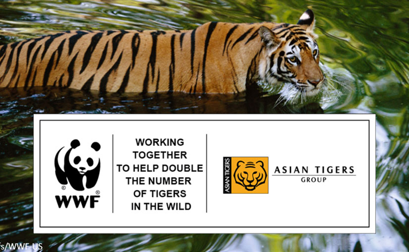 Double Wild Tigers by 2022 with Everyone’s Help