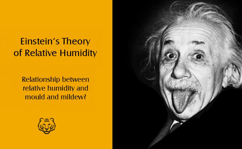 Einstein’s Theory of Relative Humidity