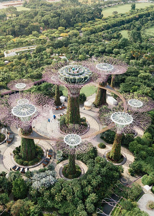 singapore destination guide