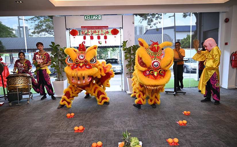 Year of the Wood Dragon